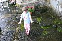 Picture 6982